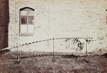 A Window of Time: Historic Photography from Aotearoa