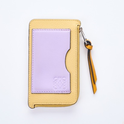 Loewe, Two Toned Leather Cardholder with Box