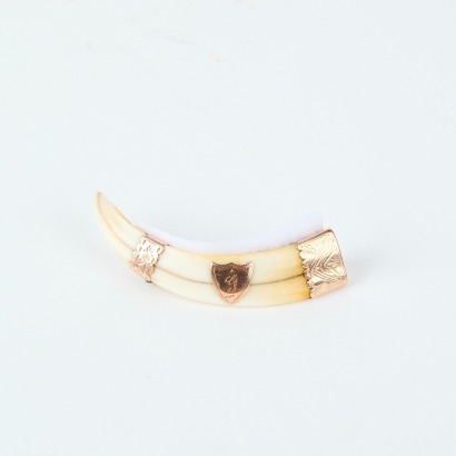 An Antique Boars Tusk Brooch