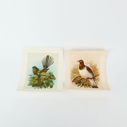 A Pair of John Keulemans Reproduction Prints of Native Birds