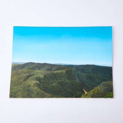 An Oil Painting of the Coromandel Pinnacles