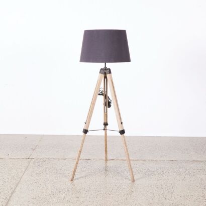 A Modern French Country Floor Lamp