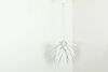 A Jeremy Cole Aloe Blossom Ceiling Light - 3