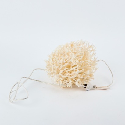 A Delicate Real Coral Lamp