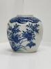 A Chinese Qing Dynasty Blue and White 'Flower and Bird' Jar (Da Qing Kangxi Nian Zhi Mark) - 2