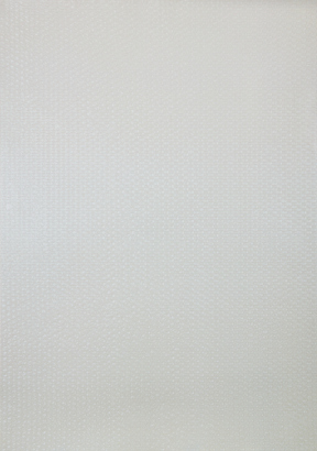 DANE MITCHELL Bubble Wrap (Artspace 2005)