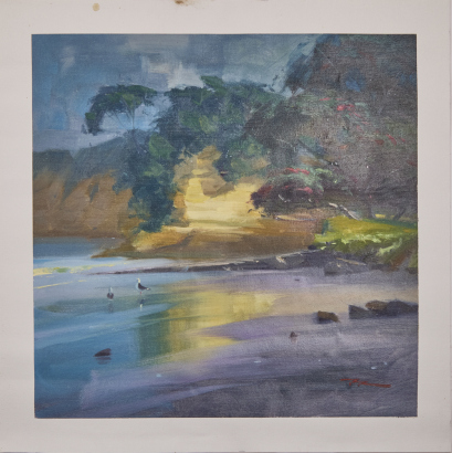 RICHARD ROBINSON Last Light