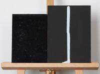 CHRIS HEAPHY untitled (diptych)