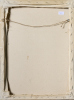 JOHN MCLEAN untitled - 2