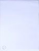 RONNIE VAN HOUT untitled (Artspace Turns 21, Artist Edition) - 2
