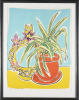 CLAUDIA POND EYLEY Spider Plant - 2