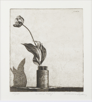 GRAHAME SYDNEY Liam's Tulip