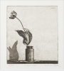 GRAHAME SYDNEY Liam's Tulip