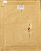 TIM WILSON untitled - 3