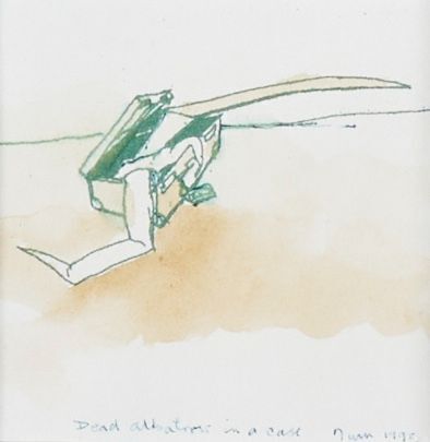 GREER TWISS Dead Albatross in a Case