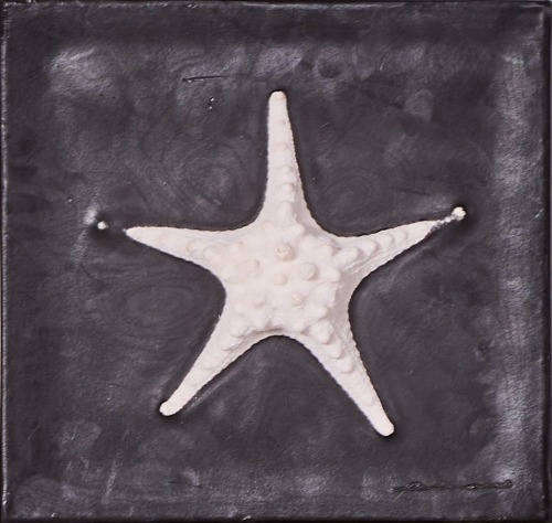 A Wax Art Artwork of a Starfish