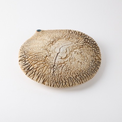 A Len Castle Hanging Organic Form