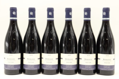 (6) 2019 Domaine Anne Gros Bourgogne Pinot Noir, Burgundy