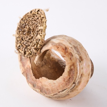 A Talipun Bride Price Shell, Papua New Guinea