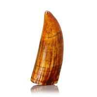 A Fijian 19th Century Tabua