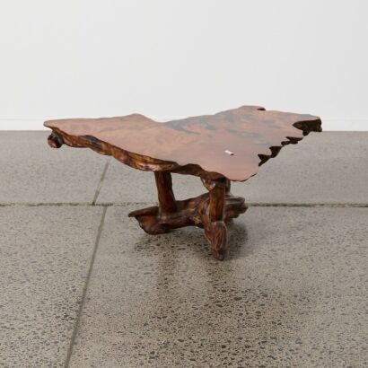 An Organically Formed Swamp Kauri Coffee Table