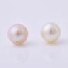 14ct White Gold, 6.5mm Pearl Stud Earrings