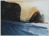 DOUGLAS MCDIARMID View of Piha