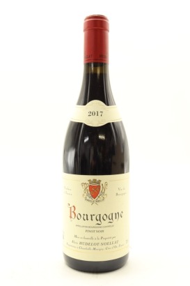 (1) 2017 Alain Hudelot-Noellat Bourgogne Rouge, Burgundy
