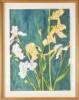 Watercolour Irises by Sue Cooke (1945)