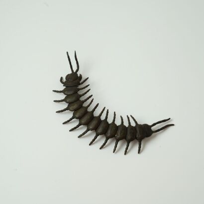 A Japanese Bronze Centipede (Moveable Body)