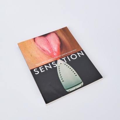 Sensation: Young British Artists from the Saatchi Collection by Rosenthal et al