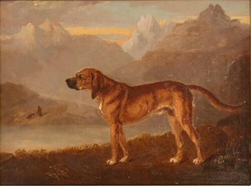 THOMAS BAYNES - A Bloodhound