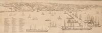 A Detailed View of Auckland Harbour