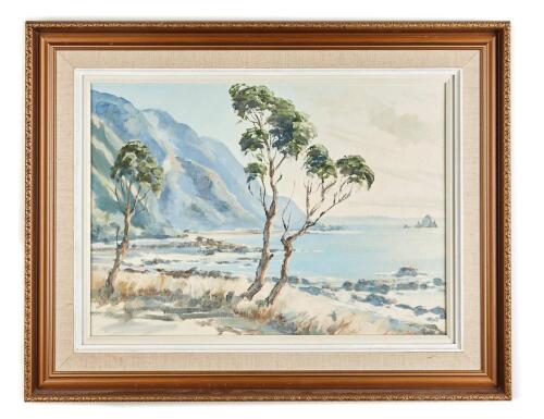 Aston Greathead - Kaikoura Coast