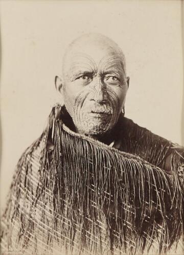 JOSIAH MARTIN Patara [sic] te Tuhi (Wiremu Pātara te Tuhi)