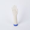 A Glove Maker's Mold