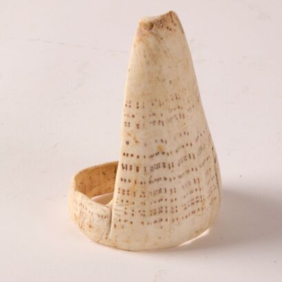 A Wauri Conus Shell Armband, Torres Straits