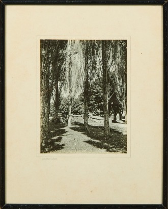 A George Chance Attributed Photograph of Cornwall Park A/F