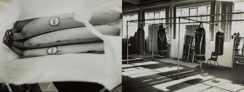 DAVID SCOTT untitled