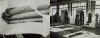 DAVID SCOTT untitled
