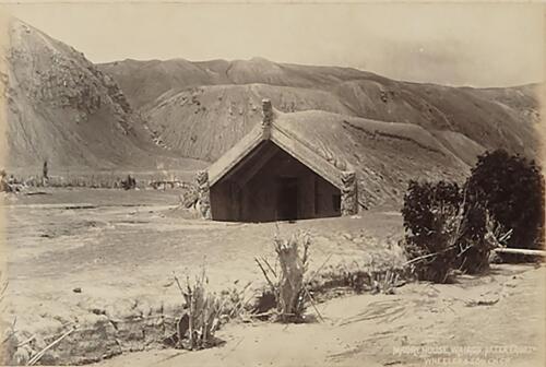 WHEELER & SON Maori [sic] House, Wairoa, After Eruption (Hinemihi)