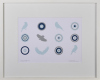 SHANE COTTON untitled - 2