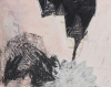 CAT FOOKS untitled