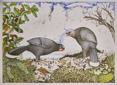 REI HAMON Huia