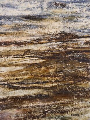 SUZANNE GOLDBERG untitled