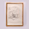 RAYMOND CHING The Raymond Ching Portfolio of Bird Drawings - 2