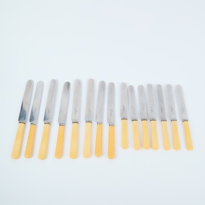 A Collection of 15 Bone Handle Knives