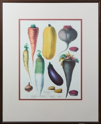 A Framed Album Vilmorin Vegetable Poster
