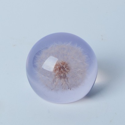 A Dandelion In Perspex Paperweight