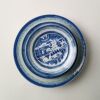 A Group of Fourteen Chinese Qing Dynasty Blue and White 'Landscape' Dishes - 3